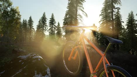 Bicicleta-En-El-Bosque-De-Montaña-Al-Atardecer
